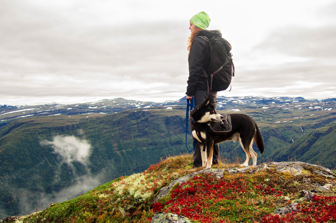 Happy Trails: Hiking Tips for You and Your Pup