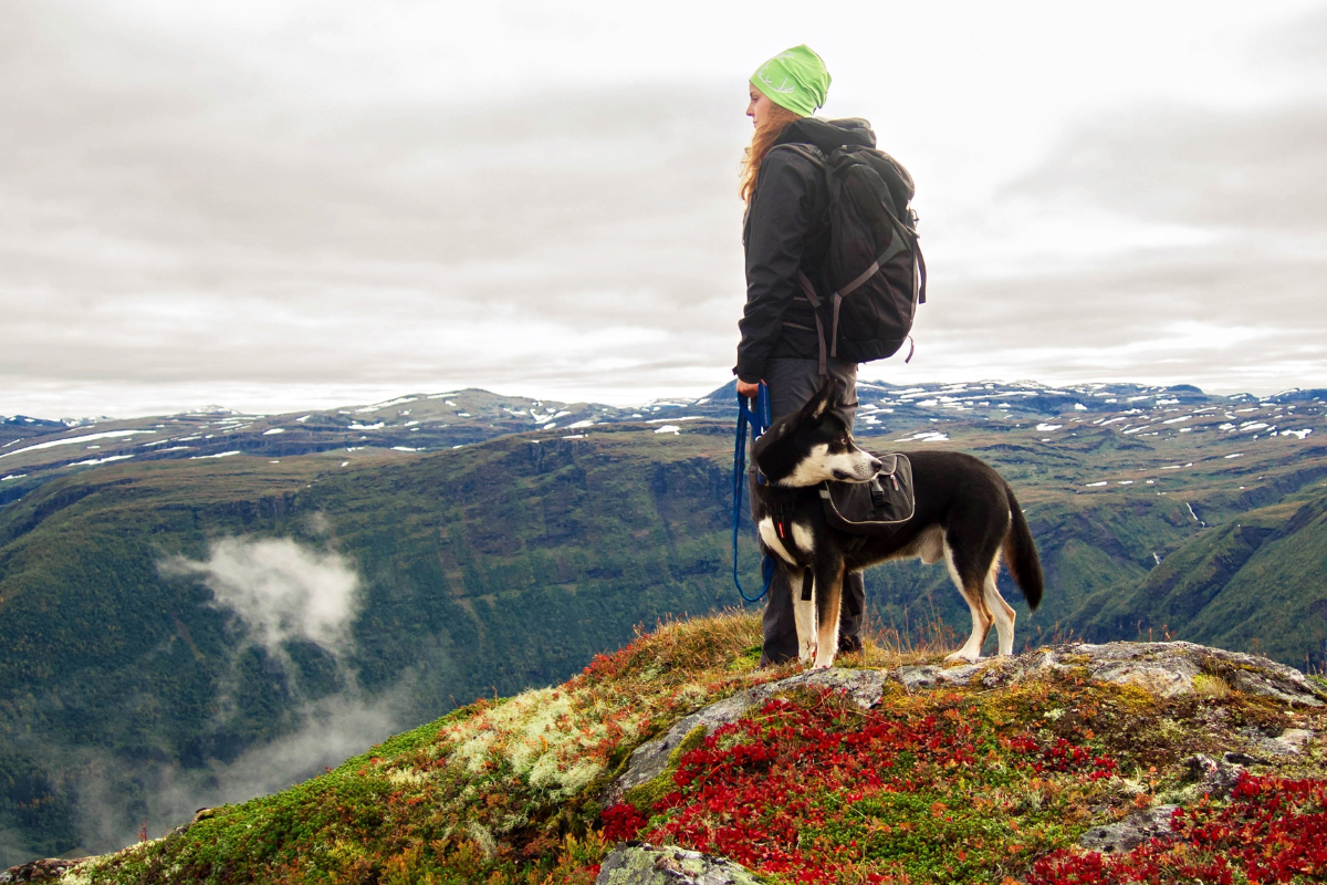 Happy Trails: Hiking Tips for You and Your Pup