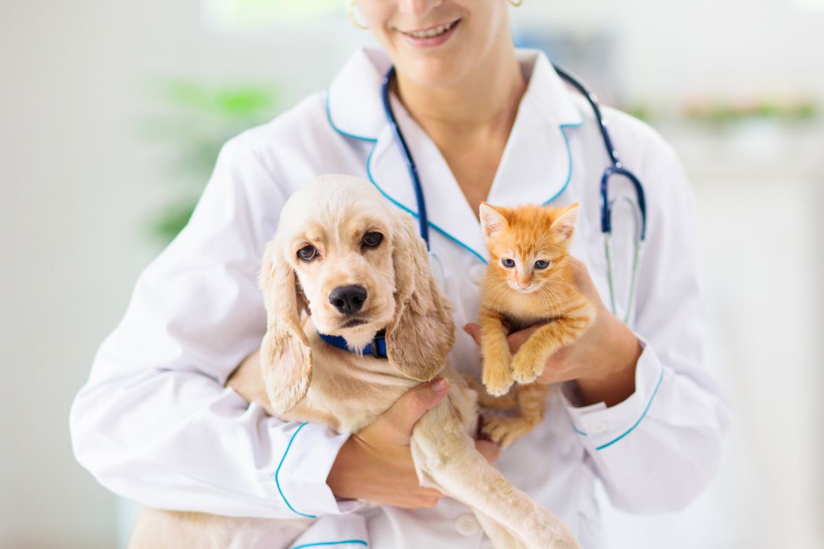 Pet Insurance: Is It Worth It?