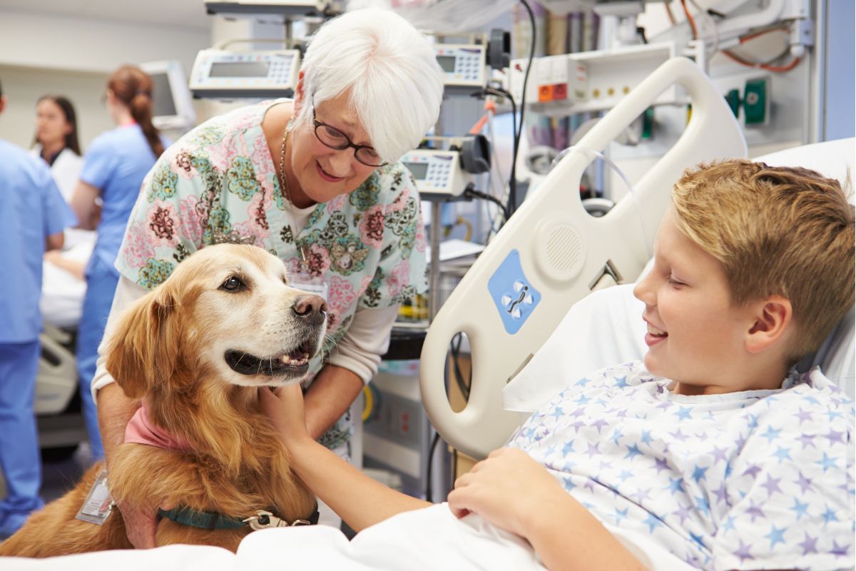 Could My Dog Be a Good Therapy Dog?