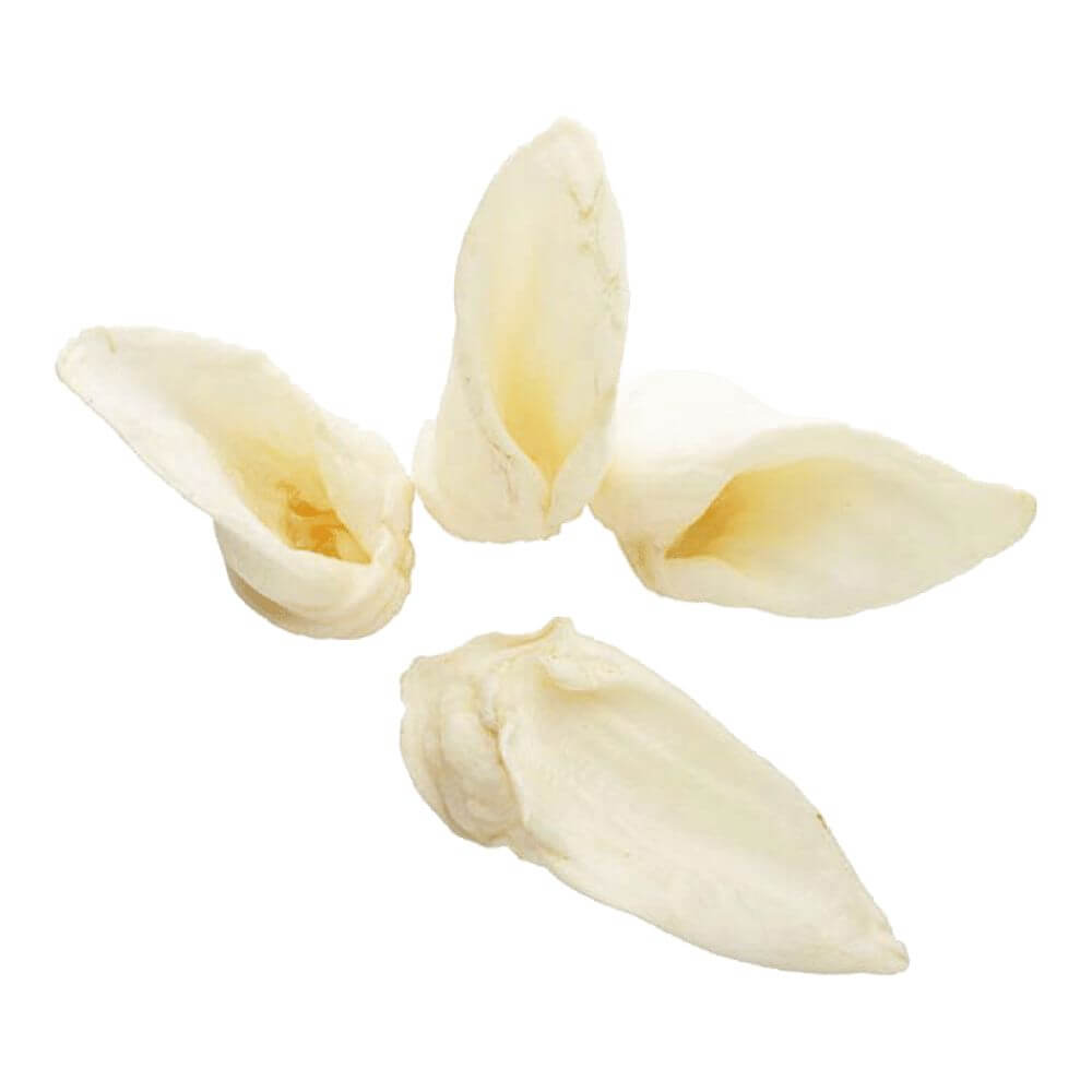 Natural Lamb Ear