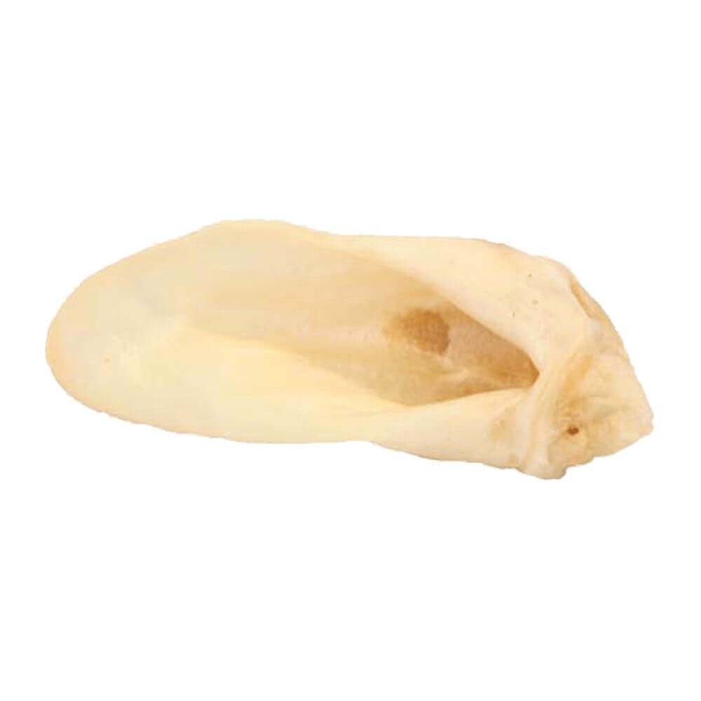 Natural Lamb Ear