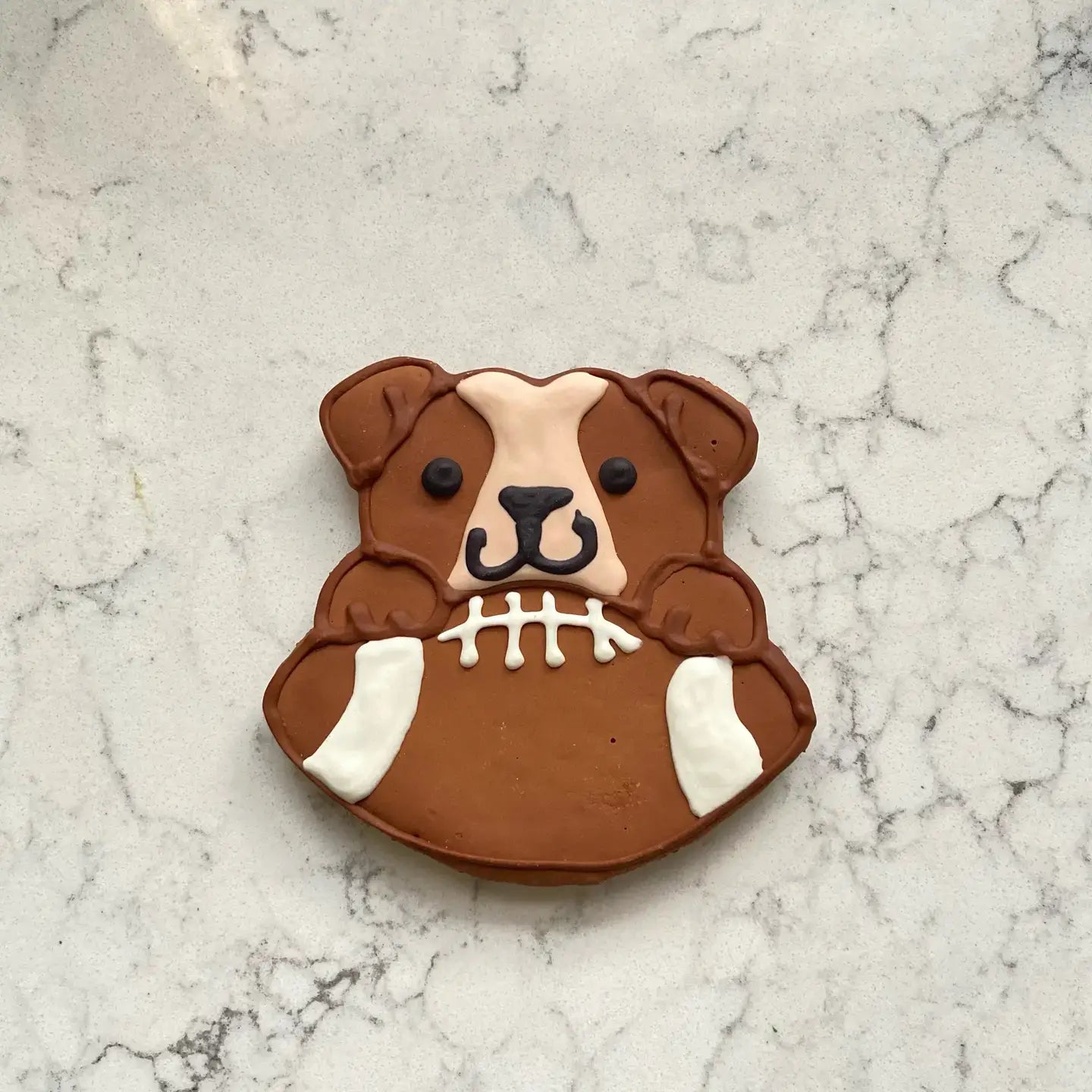 Puppy With Football