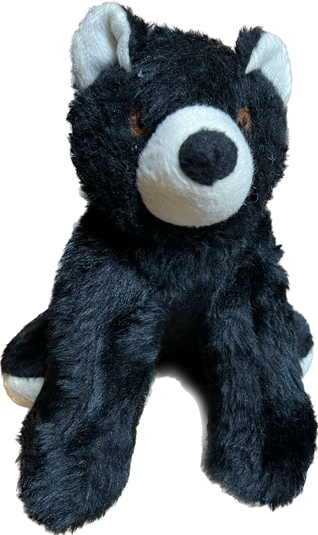 NEW HAMPSHIRE BEAR Plush Squeaky Dog Toy