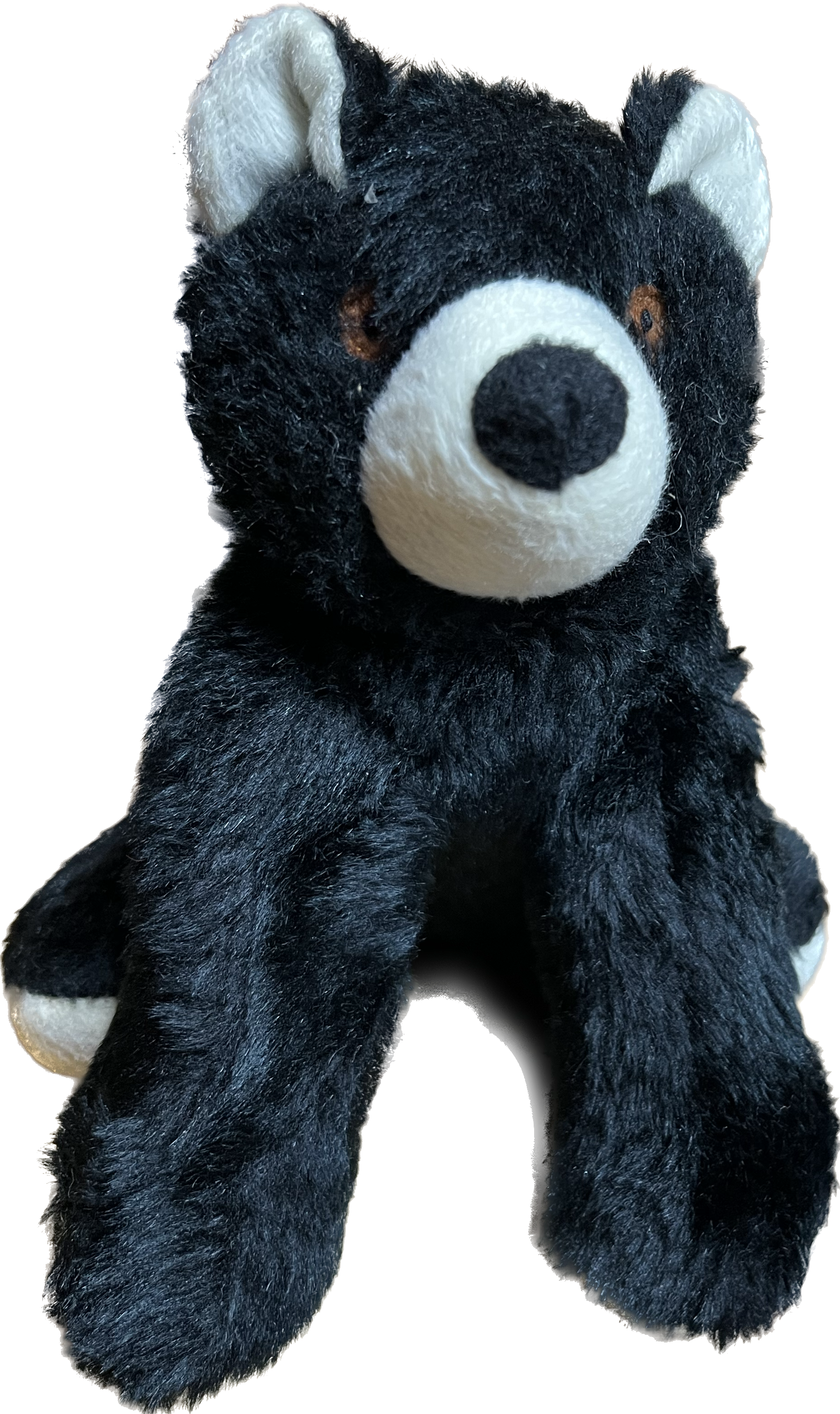 NEW HAMPSHIRE BEAR Plush Squeaky Dog Toy