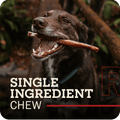 Bully Stick - 9"
