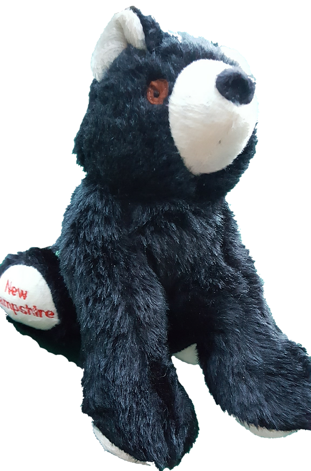 NEW HAMPSHIRE BEAR Plush Squeaky Dog Toy