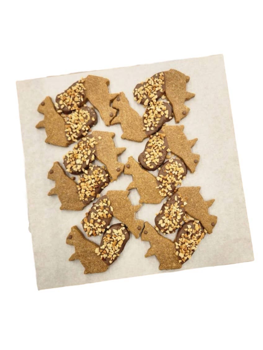 Paws Gourmet Bakery Squirrel Dog Treats