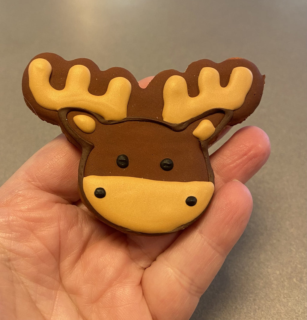 NH Moose Cookie — hand-iced moose cookie
