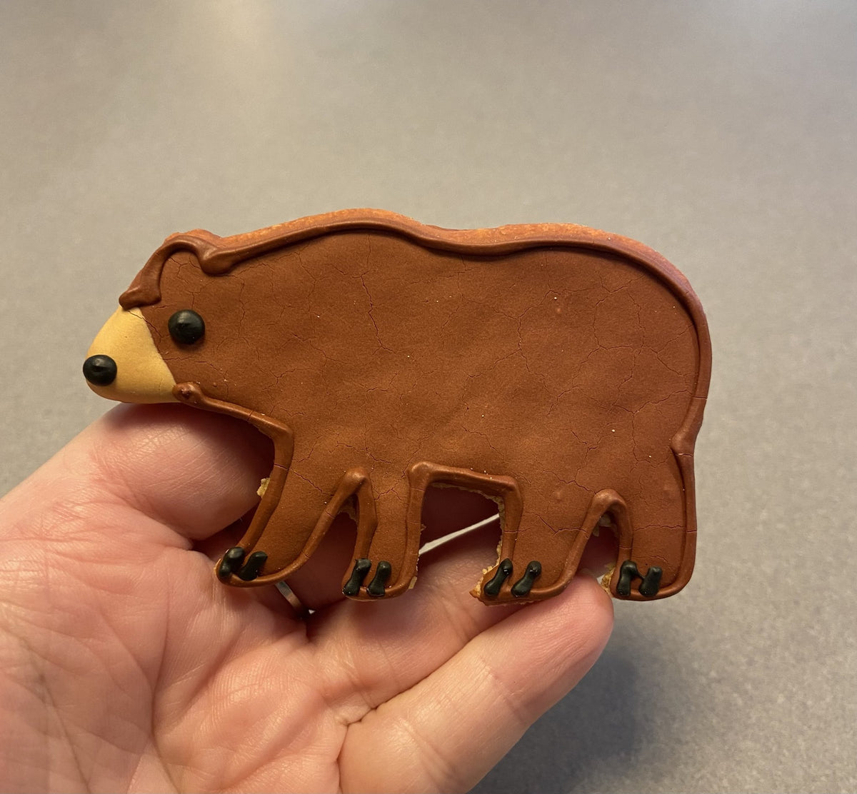 NH Bear Cookie — hand-iced bear cookie