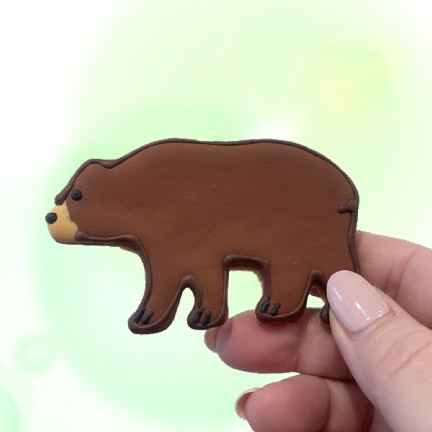Bear 