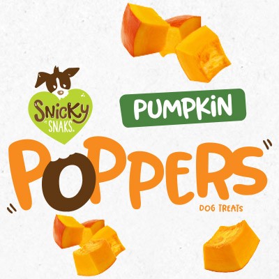 Snicky Snaks Pumpkin Poppers 10 Oz